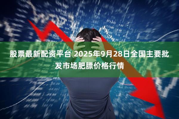 股票最新配资平台 2025年9月28日全国主要批发市场肥膘价格行情